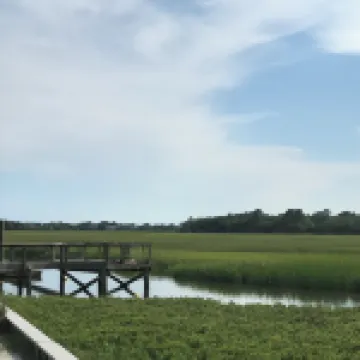 Gated Secluded Marsh View