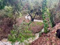 Topanga Canyon Hippie Creekside Trailer