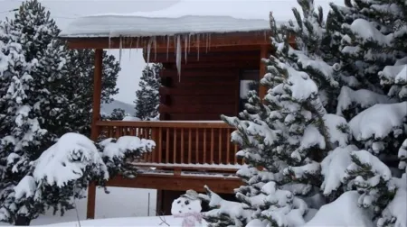 Cozy MTN View Cabin-Ski Wolf Creek 22 miles Fire Pit-WiFi-Dog Friendly!