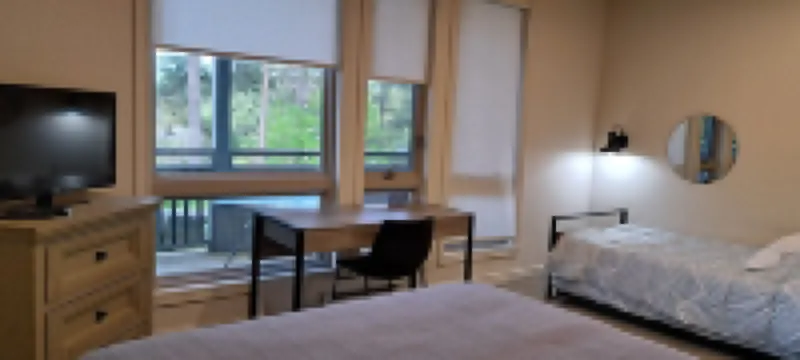 Restful 1 Bed Lakefront Condo in Muskoka