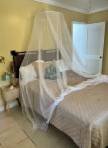 Charming 2-bedroom apartment in amazing St Croix with AC, WiFi