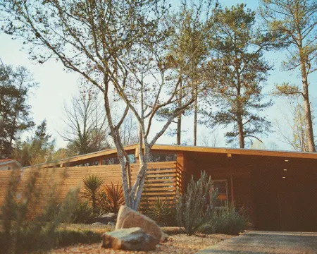 Mid-Century Architect's Bright and Airy Home with Luxury Design and Modern Art Hotels in Belvedere Park