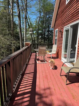 Charming 2-bedroom house with AC, WiFi in lovely Falmouth