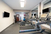 Hampton Inn & Suites Nashville/Franklin (Cool Springs) - Gym