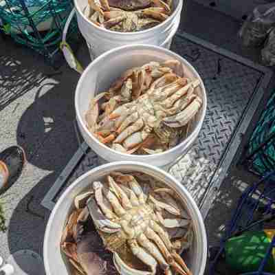 Romantic, Comfortable, Clean, New, Convenient, Bridge, Ocean View, Priced Right! Dining/Meeting Rooms