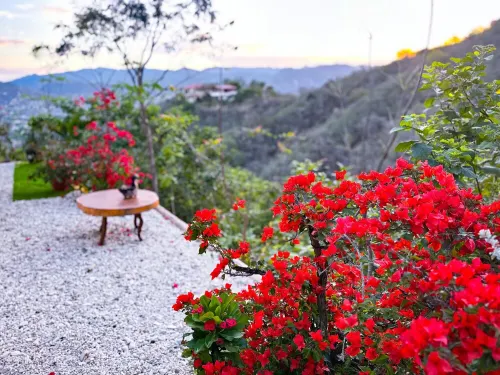 Stunning views - Cozy and Secluded guesthouse with 1 bedroom and WiFi, AC.