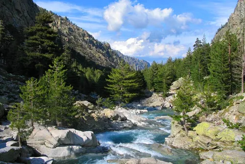 Bel appartement en bord de plage face à la mer Hotels in Ghisonaccia