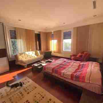 Luxury villa with private pool in Silivri Rooms