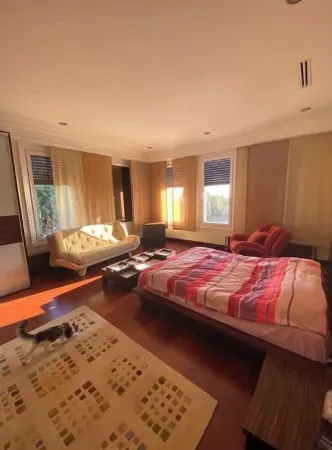 Luxury villa with private pool in Silivri