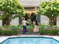 Waldorf Astoria Atlanta Buckhead - Luxury