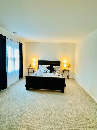 Spacious 5-bedroom house in lovely Alexandria with WiFi, AC