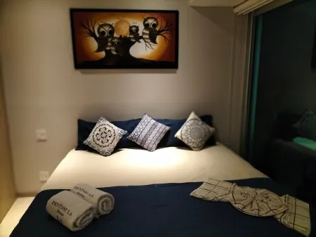 Beautiful and Luxurious Apartment in Peninsula Ixtapa