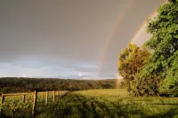 Luxury vineyard log cabin in the Yarra Valley