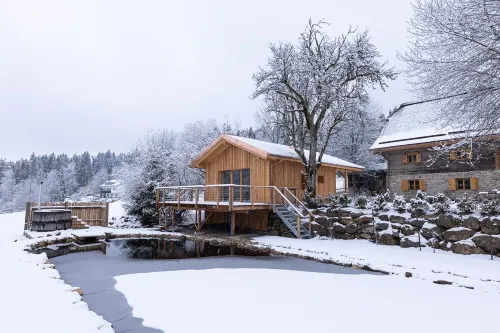 The forester's lodge - historic farm with sauna & pond in the middle of a forest clearing Hotels in Regen