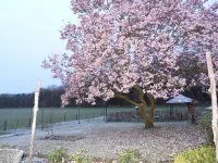 Spacious Studio, in wooded hiking/biking area. Near ASML. โรงแรมใน