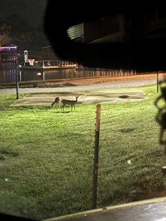Waterfront Cabin with Access to swim dock, fishing dock, and boat ramp.