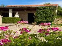 Apartments Magdalena - Airport Shuttle