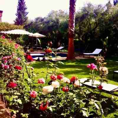 Villa Aalama Hotel Exterior