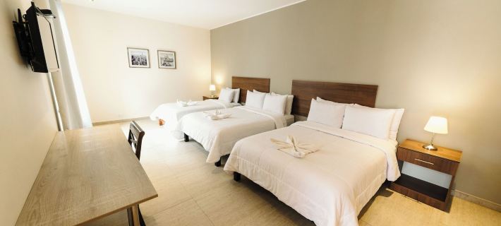Villa Oasis 이카 호텔