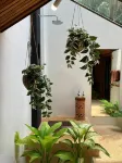 The Place Luxury Boutique Villas -  case vacanza in affitto