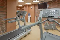 Holiday Inn NIAGARA FALLS - BY THE FALLS by IHG - Spor Salonu