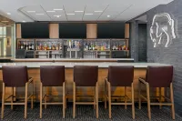 Hilton Garden Inn Buffalo Airport - bar