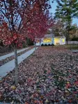 Quaint Guest Cottage -  Privatzimmer