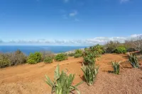 Charming Farmhouse Retreat in Santa Ursula, Tenerife