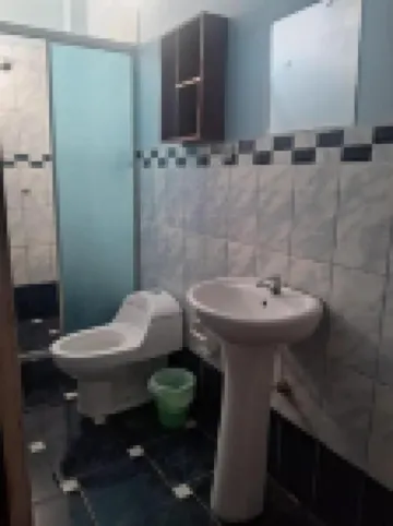 Plaza Jungle Hostel Hotels in Tambopata