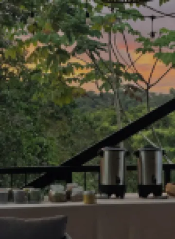 Maze Lodge