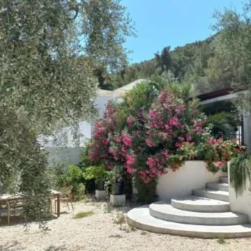Hmo Glamping & Suites in Vignanotica