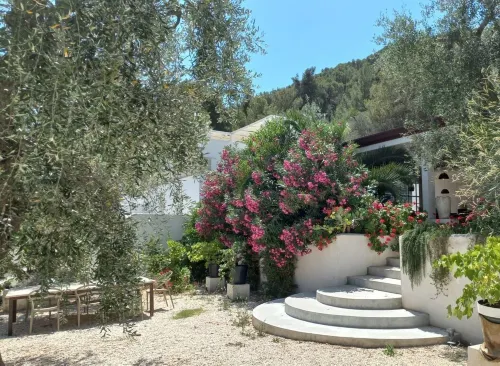 Hmo Glamping & Suites in Vignanotica