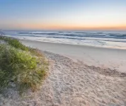 New Custom House! Private, Clean, Safe! Walk to the Beach!