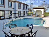 Quality Inn & Suites DFW Airport South - Swimmingpools