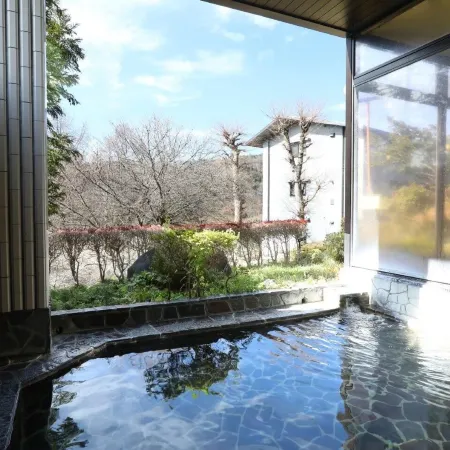NEW STAR HOTEL YAMANAKAKO