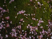 Sugatani Onsen