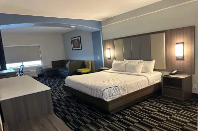 La Quinta Inn & Suites by Wyndham Alamo - McAllen East Hotels in Hidalgo County