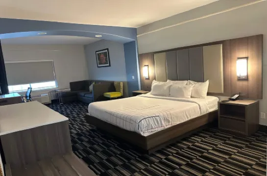 La Quinta Inn & Suites by Wyndham Alamo - McAllen East