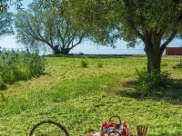 Delfinia Hotel & Bungalows Hotels in Lesbos