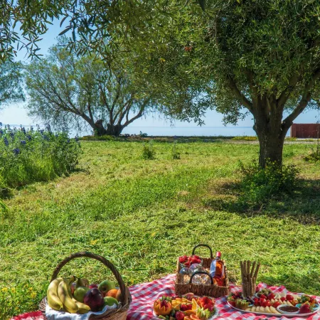 Delfinia Hotel & Bungalows