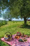 Delfinia Hotel & Bungalows