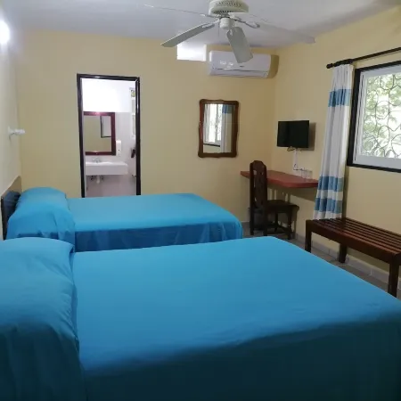 Hotel - Museo Xibalba