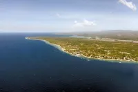 Pig Dive Hostel Moalboal