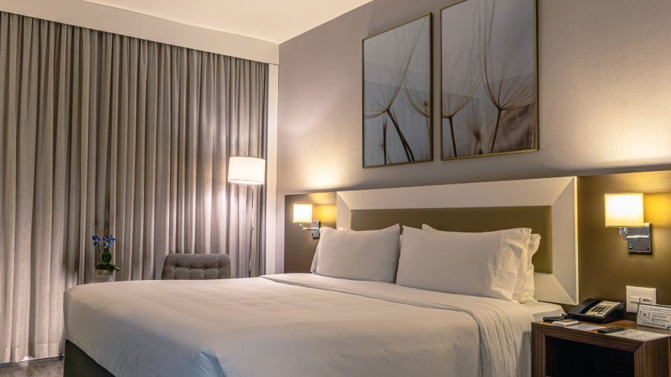 Holiday Inn BELO HORIZONTE SAVASSI by IHG
