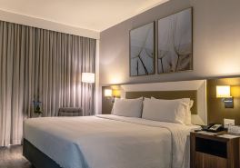 Holiday Inn BELO HORIZONTE SAVASSI by IHG