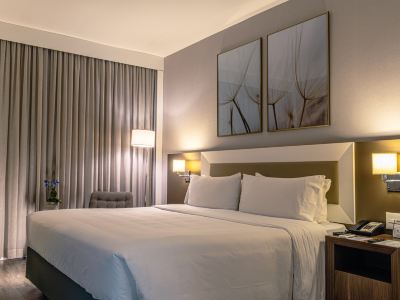 Holiday Inn BELO HORIZONTE SAVASSI by IHG