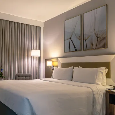 Holiday Inn BELO HORIZONTE SAVASSI by IHG Hoteles cerca de Plaza del Papa