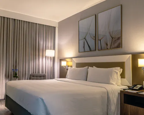 Holiday Inn BELO HORIZONTE SAVASSI by IHG Hotels near Savassi Square