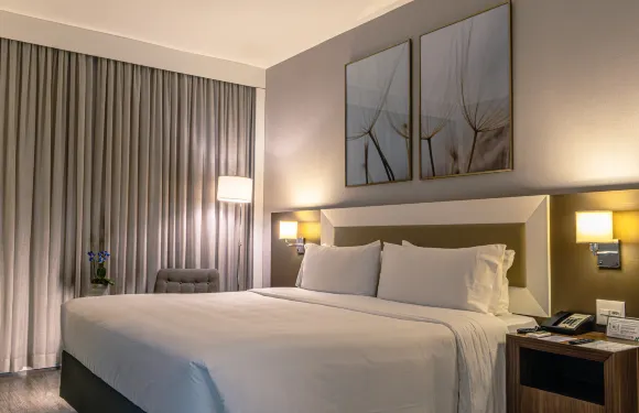 Holiday Inn 貝洛奧裏藏特