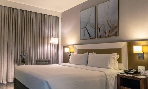 Holiday Inn Belo Horizonte Savassi by IHG
